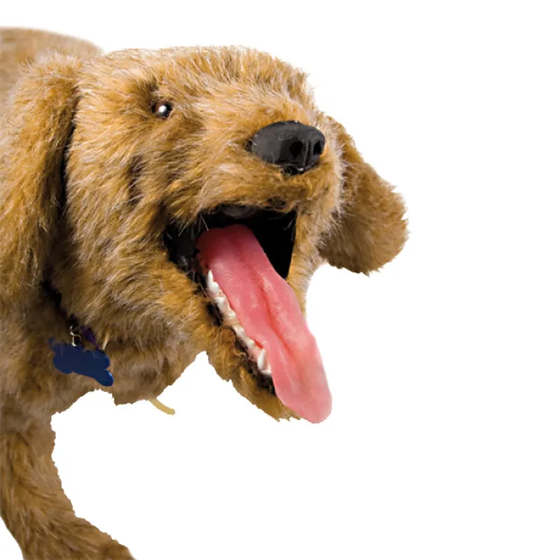 Jerry K-9 CPR Dog Manikin